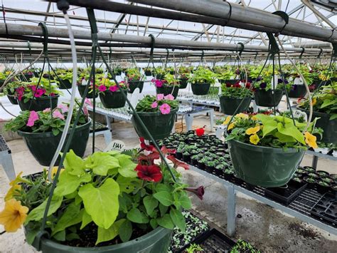 Viroqua FFA Plant Sale 2025, 100 Blackhawk Dr, Viroqua, WI, United ...
