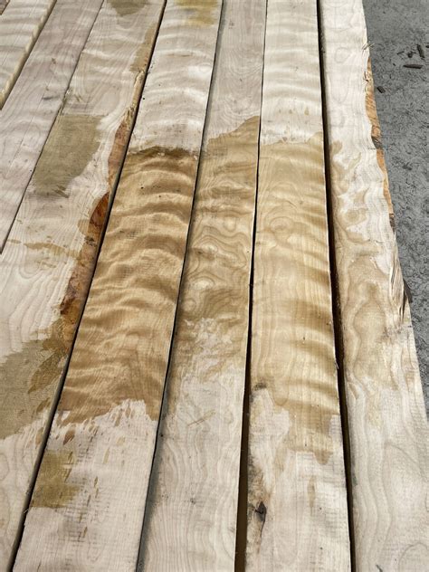 Is Birch Good Lumber at Arthur Popp blog