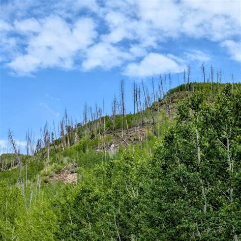 Missionary Ridge Road Camping | Durango, Colorado