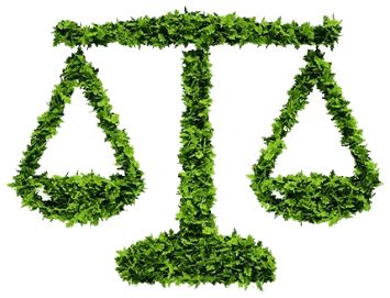 Law and Sustainable Development Chapter Notes - Legal Studies for Class ...
