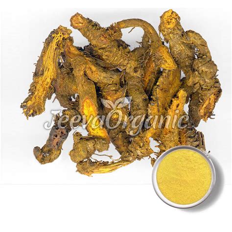 Coptis Rhizome Powder Supplier | Coptis chinensis