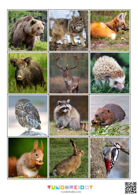 Printable Classification Sorting Mats: Domestic vs Wild Animals