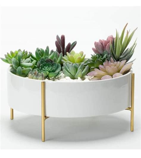 neumark impex Neumark Iron Plate Pot, Brown 11.5X5 Inch (White ...