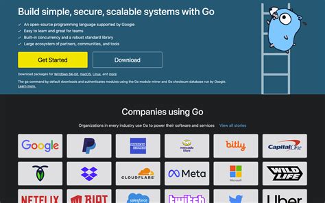 Go Back End Tutorial 的图像结果