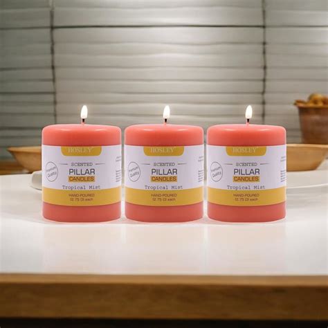 Buy HOSLEY Set of 3 Tropical Mist Scented Pillar Candles from Hosley at ...