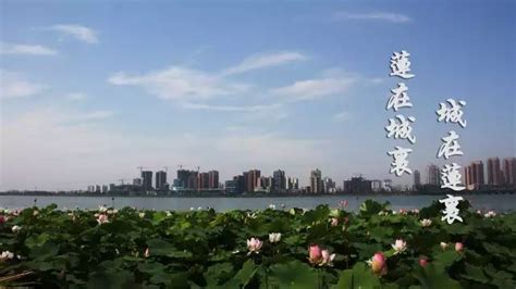 加快生态文明体制改革 建设美丽中国-国际在线