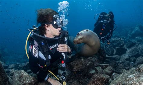 Day Boat Diving La Paz - See Creatures