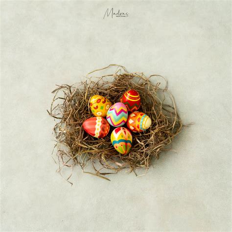 Filler Props – Page 2 – Madras Prop Store