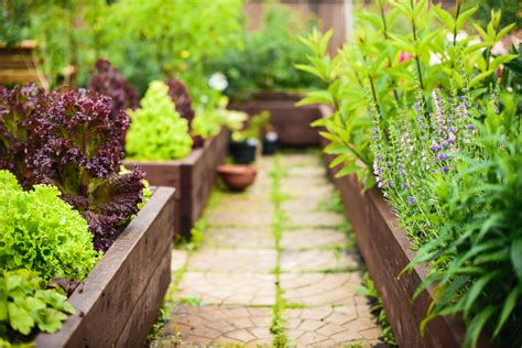 Before You Build Raised Beds for Gardening