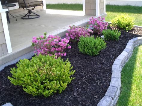 Best Shrubs For Front Entrance at Harrison Fitch blog