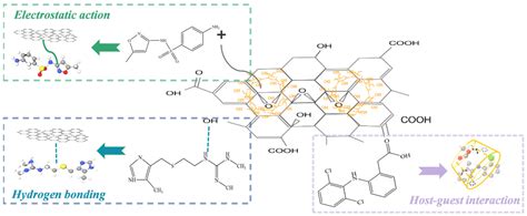 Removal Efficiency and Mechanism of Typical PPCPs onto Novel ...