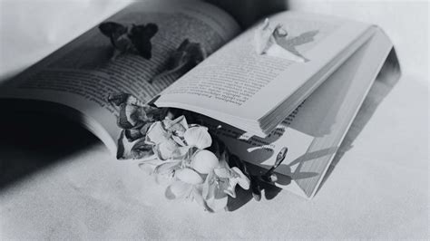 Photo Album Book Black And White at Anita Mcguire blog