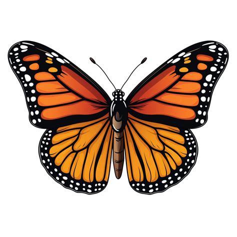 Coloring Page Monarch Butterfly | Coloring Pages Mimi Panda