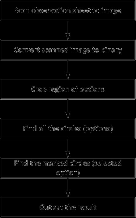 Sample Data Processing 的图像结果