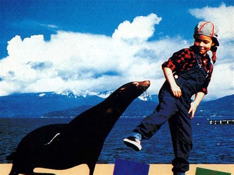 Andre The Seal True Story