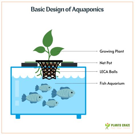 How to Use Leca 的图像结果