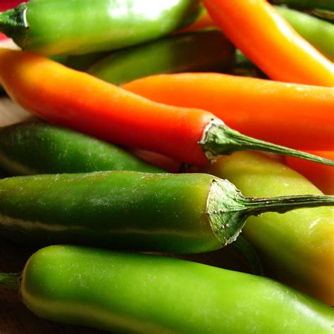 Sport Pepper Seeds – Pepper Joe’s