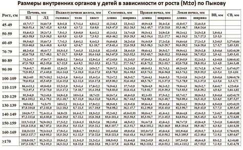 Какие размеры печени должны быть у детей: таблица норм КВР, параметров ...