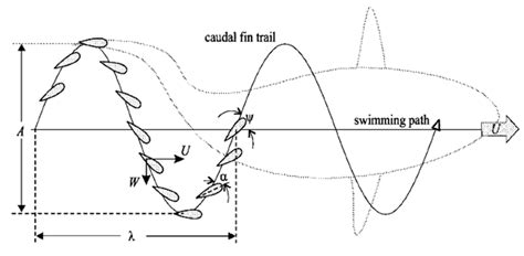 Development and Research of a Multi-Medium Motion Capture System for ...