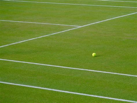 High angle view of tennis ball on grassy field | Premium Photo