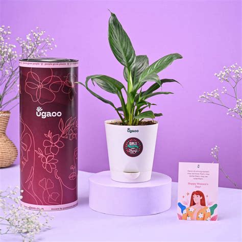 Peace Lily Women's Day Gift – Ugaoo