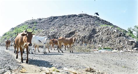 Breath of Fresh Air for Tambaram Residents