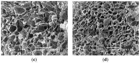 Development of Collagen/Demineralized Bone Powder Scaffolds and ...