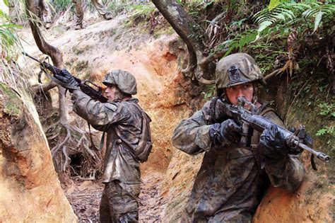 U.S. Marines training at the Jungle Warfare Training Center on Camp ...