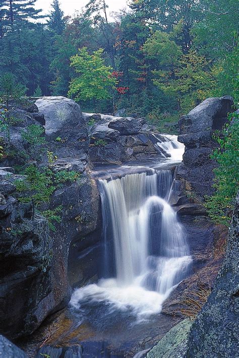 Amrerica National Flag 的图像结果