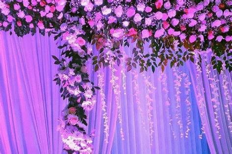 Fathima Wedding Planning - Planner - MG Road - Weddingwire.in