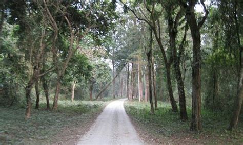 Jalpaiguri District Tourism (2023): Best of Jalpaiguri District ...