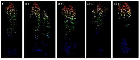 Individual Tree Crown Segmentation of a Larch Plantation Using Airborne ...