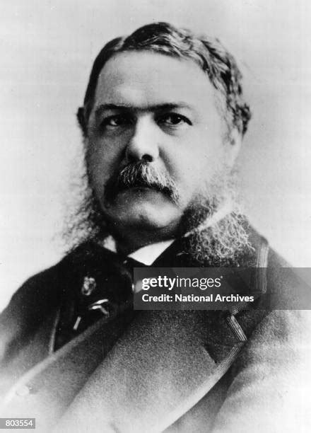 Chester Arthur President 的图像结果