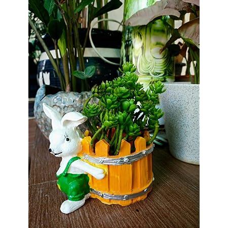 Bloom Bagicha Bunny Buster with Basket Mini Planter/Pot/Pot and Planter ...