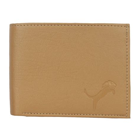 Buy Wild Edge Cream Chain Album Artificial Leather Wallet for Men at ...