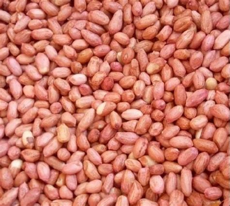 Peanuts - Peanuts Singdana Manufacturer from Navi Mumbai