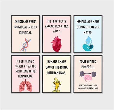Fun Science Posters 的图像结果
