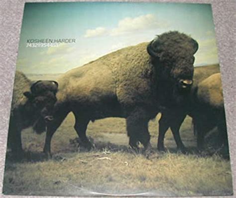 Harder: Kosheen: Amazon.in: Music}