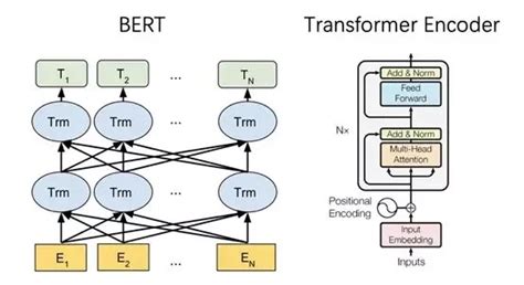 Image result for Bert Encoder Pytorch