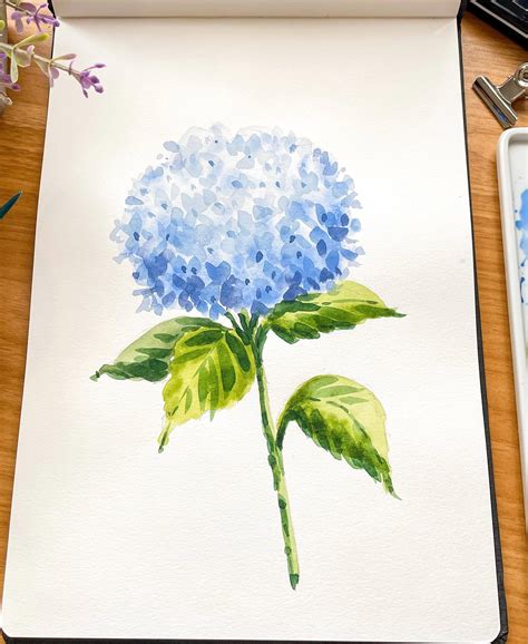 Hydrangea Tutorial Video Watercolour Flower Step by Step Painting ...