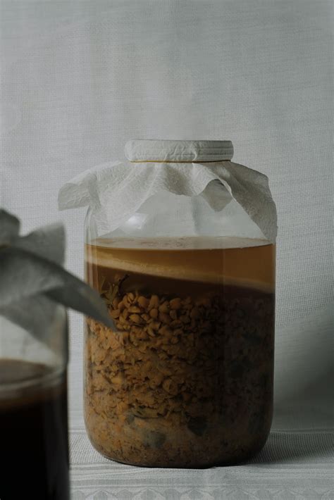 Kombucha During Pregnancy: What You Need to Know – Purely