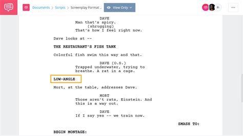 Image result for Screenplay Script Format