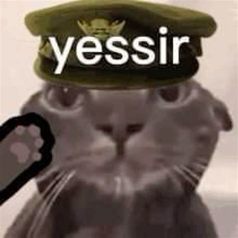 Yes Sir Meme