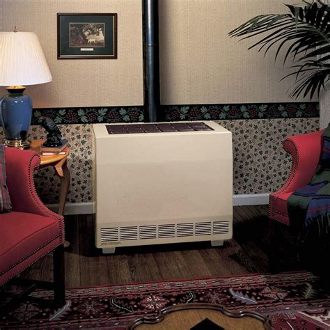 Empire 65,000 BTU Closed Front Vented Propane Heater - RH65CLP : BBQGuys