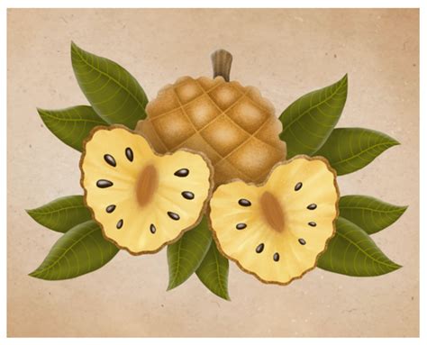 An Integrative Approach to the Flavonoid Profile in Some Plants’ Parts ...