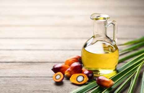 Godrej Agrovet aims to double palm oil output to 250,000 tn by 2030