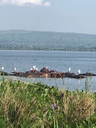 Joy Ride Adventures Uganda - Kabale | Tripadvisor