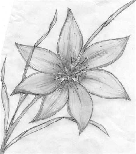 Flower Shading Drawing at PaintingValley.com | Explore collection of ...