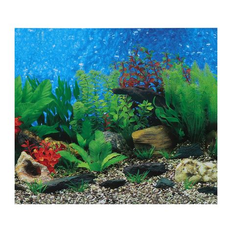 30 Gallon Tall Aquarium Background | informacionpublica.svet.gob.gt