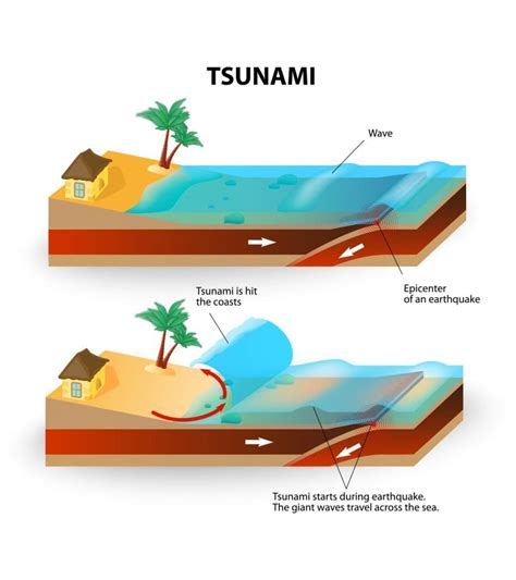Tsunami in India - Geography Notes